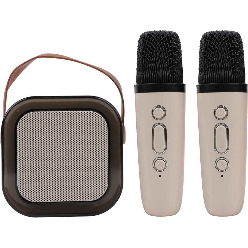 ATC-13 Bluetooth Ηχείο Καραόκε με 2 Μικρόφωνα 5W RGB