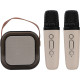 ATC-13 Bluetooth Ηχείο Καραόκε με 2 Μικρόφωνα 5W RGB
