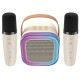ATC-13 Bluetooth Ηχείο Καραόκε με 2 Μικρόφωνα 5W RGB