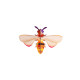 Studio Roof IMA48 Wall Art Honey Bee