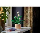 LEGO Botanical Peace Lily (11504)