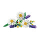 LEGO Botanical Daisies (11508)