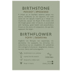 LifeLikes Δαχτυλίδι Birthstone August