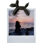 Legami Magnetic Photo Holder Lucky