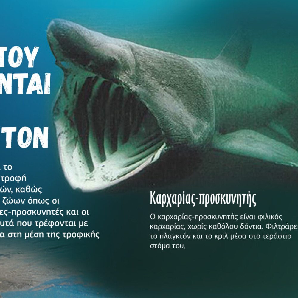 Εσύ το Ήξερες; - Ωκεανοί