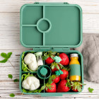 Lekkabox Classic Φαγητοδοχείο Tritan με 4 χωρίσματα (Forest)
