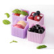 Lekkabox Bento Cups Θήκες Σιλικόνης 4 τμχ (Rosa)