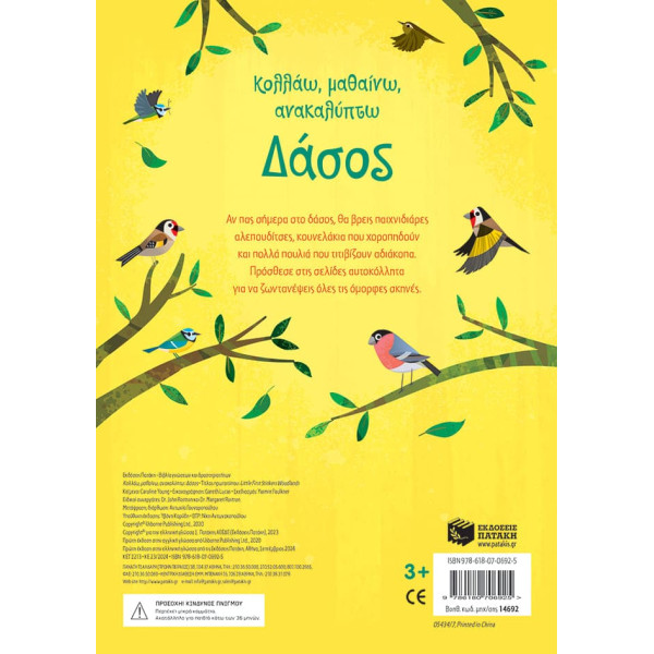 Κολλάω, Μαθαίνω, Ανακαλύπτω: Δάσος