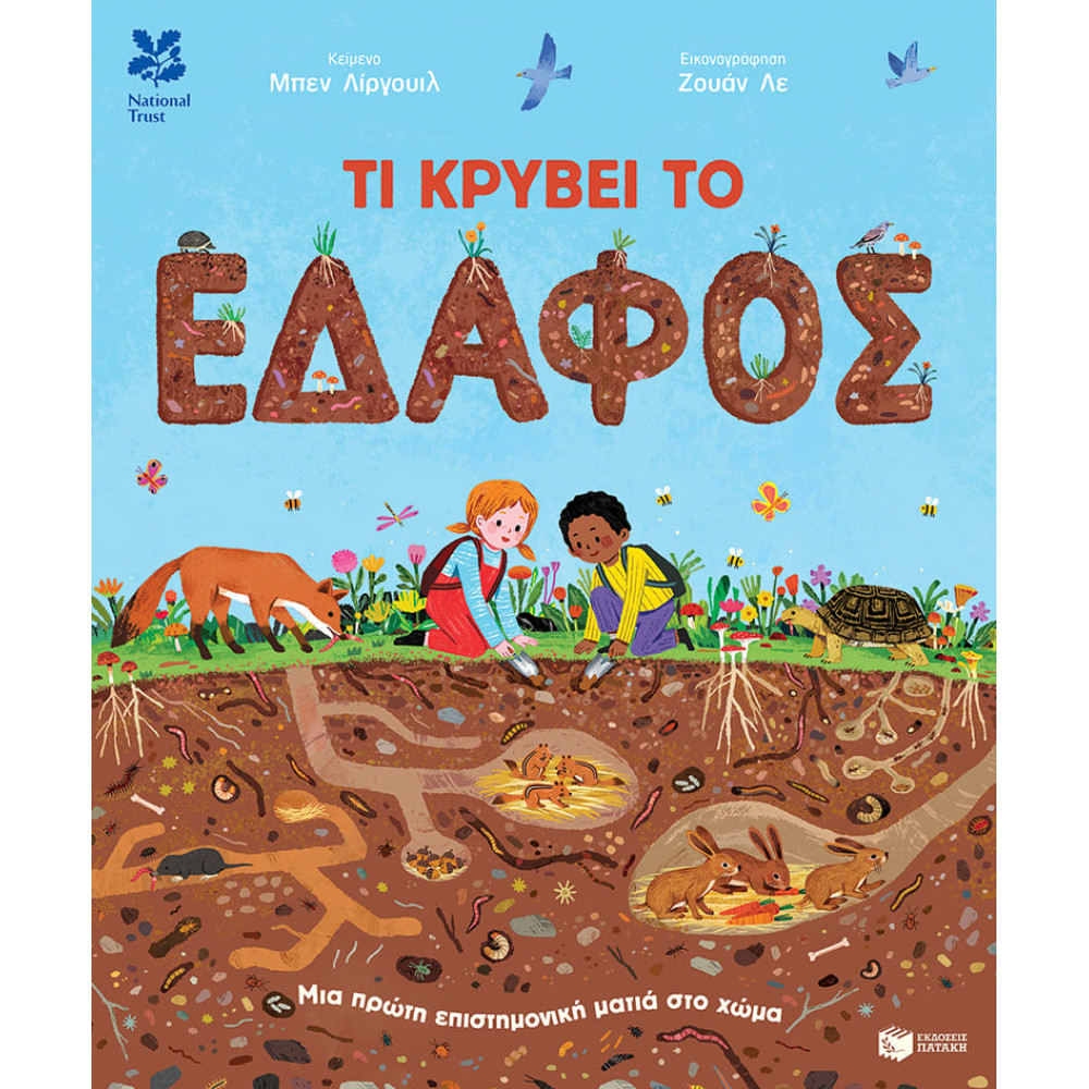 Τι Kρύβει το Έδαφος: Μια Πρώτη Επιστημονική Ματιά στο Χώμα