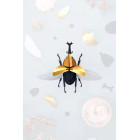 Assembli 3D Paper Rhinoceros Beetle (14,5 x 13 x 5 cm)