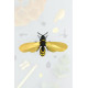 Assembli 3D Paper Wasp - Satin Gold (7 x 12,5 x 3 cm)