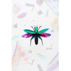 Assembli 3D Paper Grasshopper (13,5 x 11 x 6,5 cm)