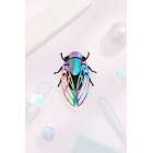 Assembli 3D Paper Cicada - Rainbow Mirror (11,5 x 9 cm)