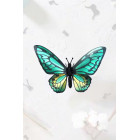 Assembli 3D Paper Butterfly Green Birdwing (12 x 17 x 5,5 cm)