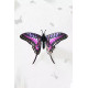 Assembli 3D Paper Butterfly Common Swordtail (14,5 x 18 x 6,5 cm)
