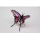 Assembli 3D Paper Butterfly Common Swordtail (14,5 x 18 x 6,5 cm)