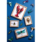 Assembli Wooden Frame Small (13,5 x 18 cm)