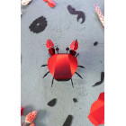 Assembli 3D Paper Beach Crab (10 x 10 x 7 cm)