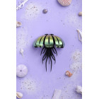 Assembli 3D Paper Jellyfish - Mango Green Metallic (13 x 11 x 6 cm)