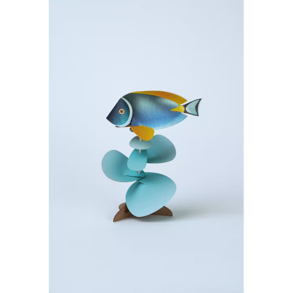 Assembli 3D Paper Powder Tang (14 x 21 cm)