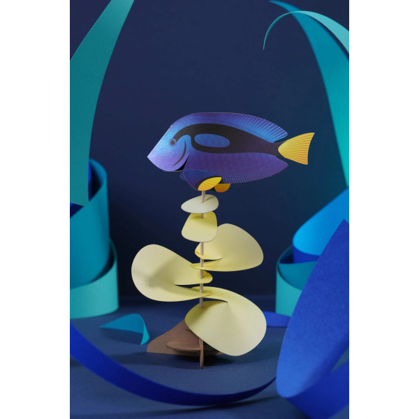 Assembli 3D Paper Blue Tang (14 x 21 cm)