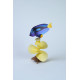 Assembli 3D Paper Blue Tang (14 x 21 cm)