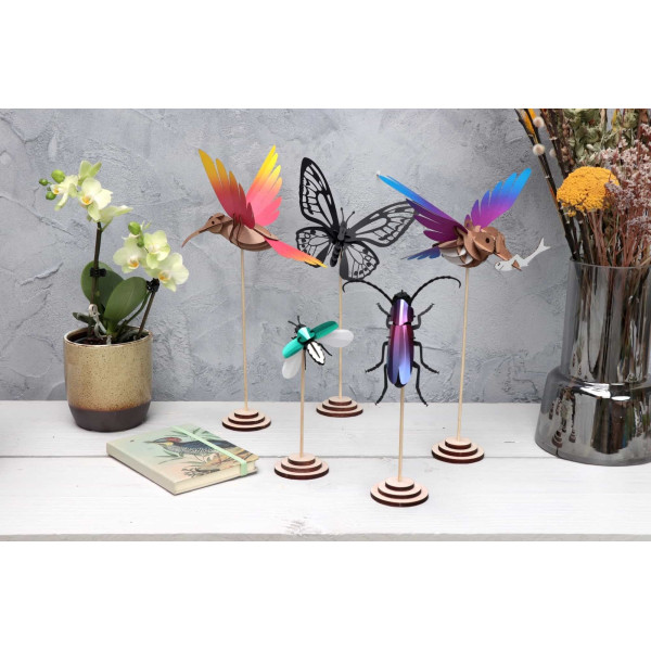 Assembli DIY Wooden Table Display