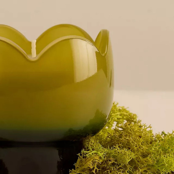 Paddywax Tulip Κερί σε Πράσινο Γυάλινο Δοχείο 155gr Verbena & Lemongrass