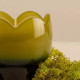 Paddywax Tulip Κερί σε Πράσινο Γυάλινο Δοχείο 155gr Verbena & Lemongrass