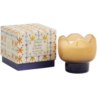 Paddywax Tulip Κερί σε Πορτοκαλί Γυάλινο Δοχείο 155gr Garden & Grove