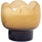 Paddywax Tulip Κερί σε Πορτοκαλί Γυάλινο Δοχείο 155gr Garden & Grove