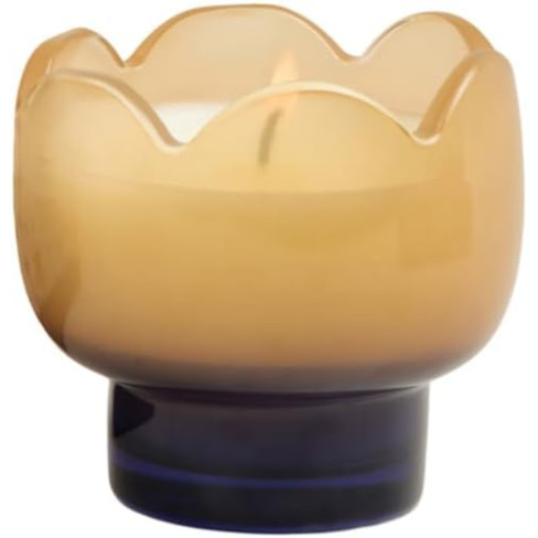 Paddywax Tulip Κερί σε Πορτοκαλί Γυάλινο Δοχείο 155gr Garden & Grove