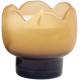 Paddywax Tulip Κερί σε Πορτοκαλί Γυάλινο Δοχείο 155gr Garden & Grove