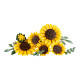 LEGO® Botanicals Sunflower Bouquet (11502)