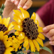 LEGO® Botanicals Sunflower Bouquet (11502)