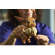 LEGO® Pokemon Eevee (72151)