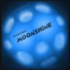 Waboba LED Bounceback x Moonshine