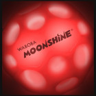 Waboba LED Bounceback x Moonshine