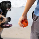 Waboba Tailwind for Dogs 2.56" - Παιχνίδι Σκύλου