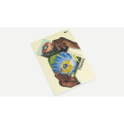 Creative Paper Book - Flowers