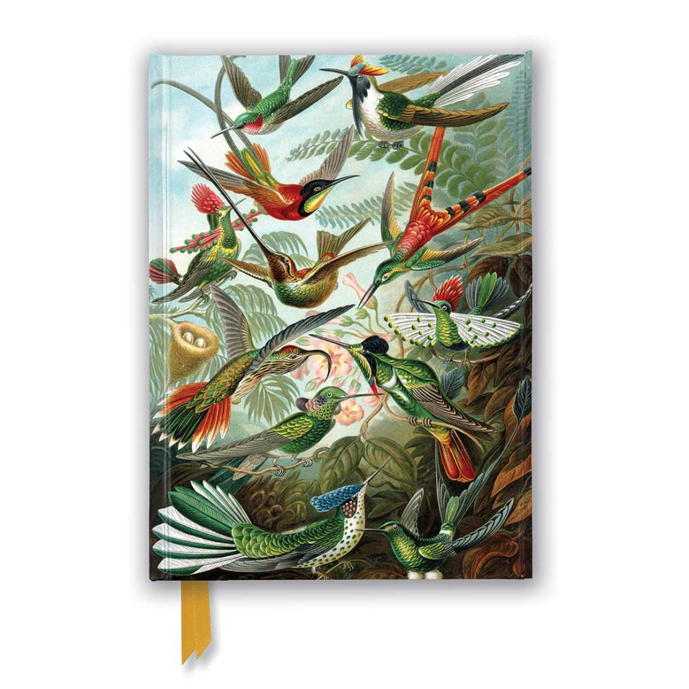 Brainfood Σημειωματάριο Ernst Haeckel: Hummingbirds