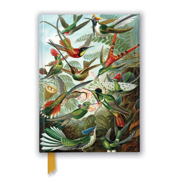 Brainfood Σημειωματάριο Ernst Haeckel: Hummingbirds