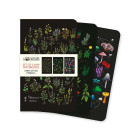 Brainfood Σημειωματάριο Anna Stead: Herbals Σετ 3 Mini Notebooks
