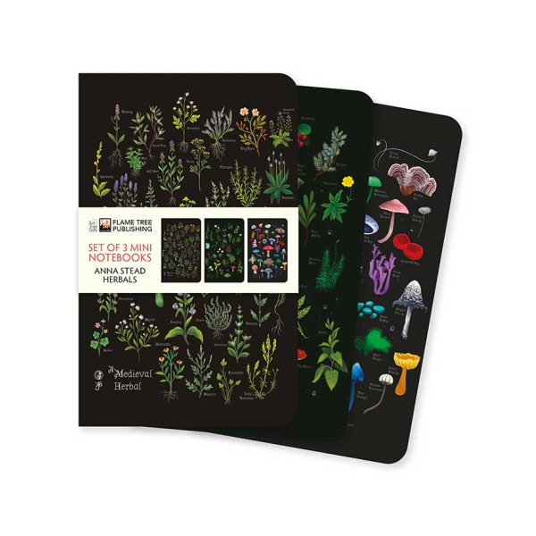 Brainfood Σημειωματάριο Anna Stead: Herbals Σετ 3 Mini Notebooks