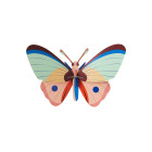 Studio Roof TTM185 Wall Art - Cattleheart Butterfly