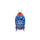 Studio Roof IMA62 Wall Art - Fungus Beetle