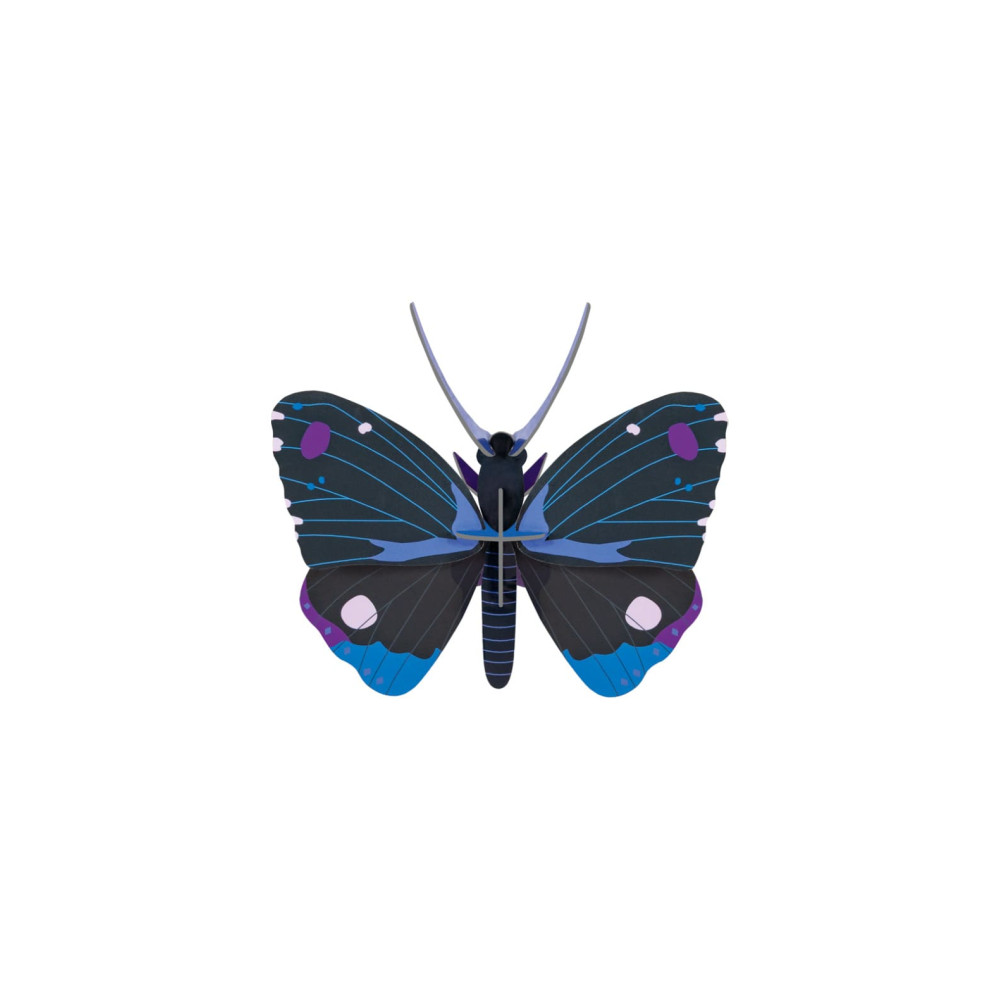 Studio Roof IMA121 Wall Art - Blue Diadem Butterfly