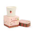 Paddywax Bistro Strawberry Φυτικό Κερί 226gr σε Κεραμικό Δοχείο - Strawberry
