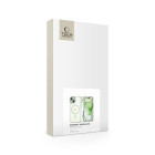 Tech-Protect Θήκη Magmat Magsafe για iPhone 15 (Green/Clear)