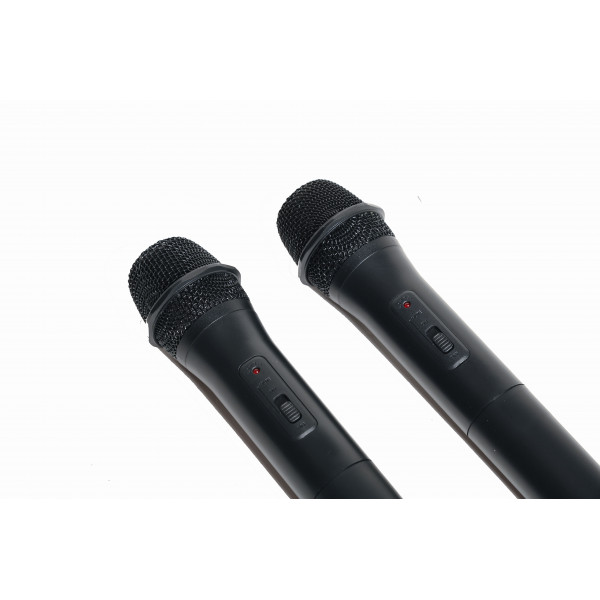 Audio Club WM20D Ασύρματα Μικρόφωνα Dual Wireless UHF Microphone System